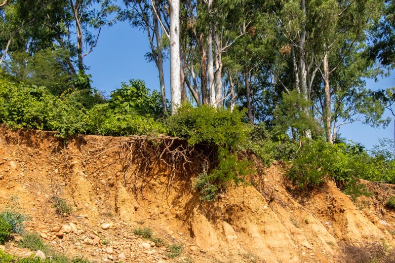Erosion Control Service in Honolulu, HI