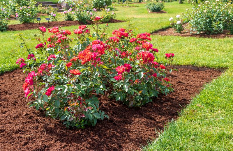 Red Mulch Installation in Honolulu, HI